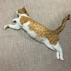 ユーザー画像