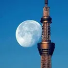 ユーザー画像