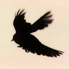 ユーザー画像