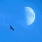 ユーザー画像
