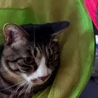 ユーザー画像
