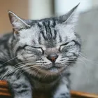 ユーザー画像