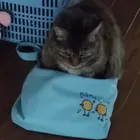 ユーザー画像