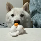 ユーザー画像