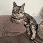 ユーザー画像