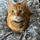 ユーザー画像