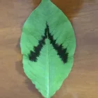ユーザー画像