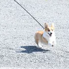 ユーザー画像