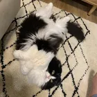 ユーザー画像