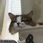 ユーザー画像