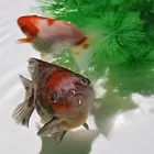 ユーザー画像