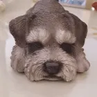 ユーザー画像