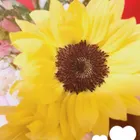 ユーザー画像