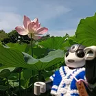 ユーザー画像