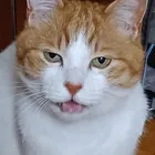 ユーザー画像