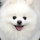ユーザー画像