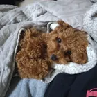 ユーザー画像