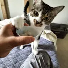 ユーザー画像