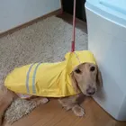 ユーザー画像