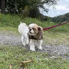 ユーザー画像