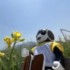 ユーザー画像