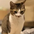 ユーザー画像