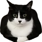 ユーザー画像