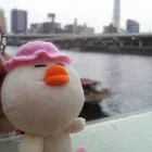 ユーザー画像