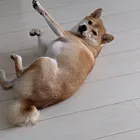 ユーザー画像
