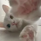 ユーザー画像