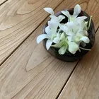 ユーザー画像