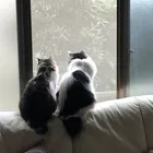 ユーザー画像