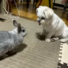 ユーザー画像