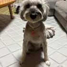 ユーザー画像