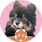 ユーザー画像