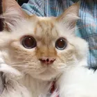 ユーザー画像