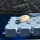 ユーザー画像