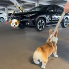 ユーザー画像