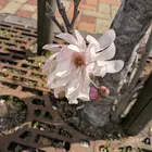 ユーザー画像