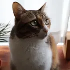 ユーザー画像