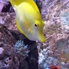 ユーザー画像