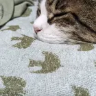 ユーザー画像