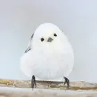 ユーザー画像
