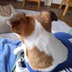 ユーザー画像
