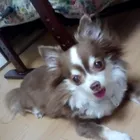 ユーザー画像
