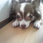 ユーザー画像