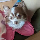 ユーザー画像