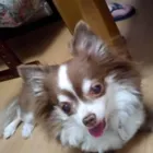 ユーザー画像
