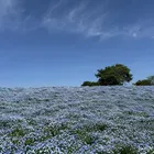 ユーザー画像