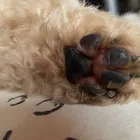ユーザー画像